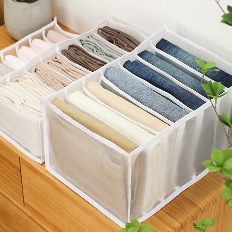Compartment Storage Organizer