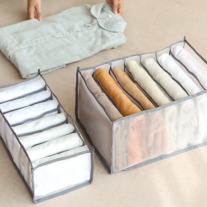 Compartment Storage Organizer