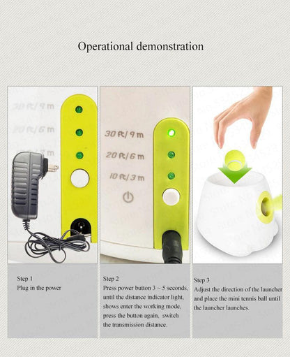 Pet Ball Launcher Automatic  (Balls Included)