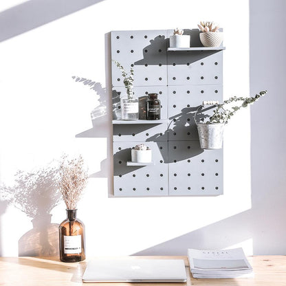 Wall Shelf Storage Organizer